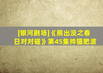 [银河剧场]《熊出没之春日对对碰》第45集帅猫肥波